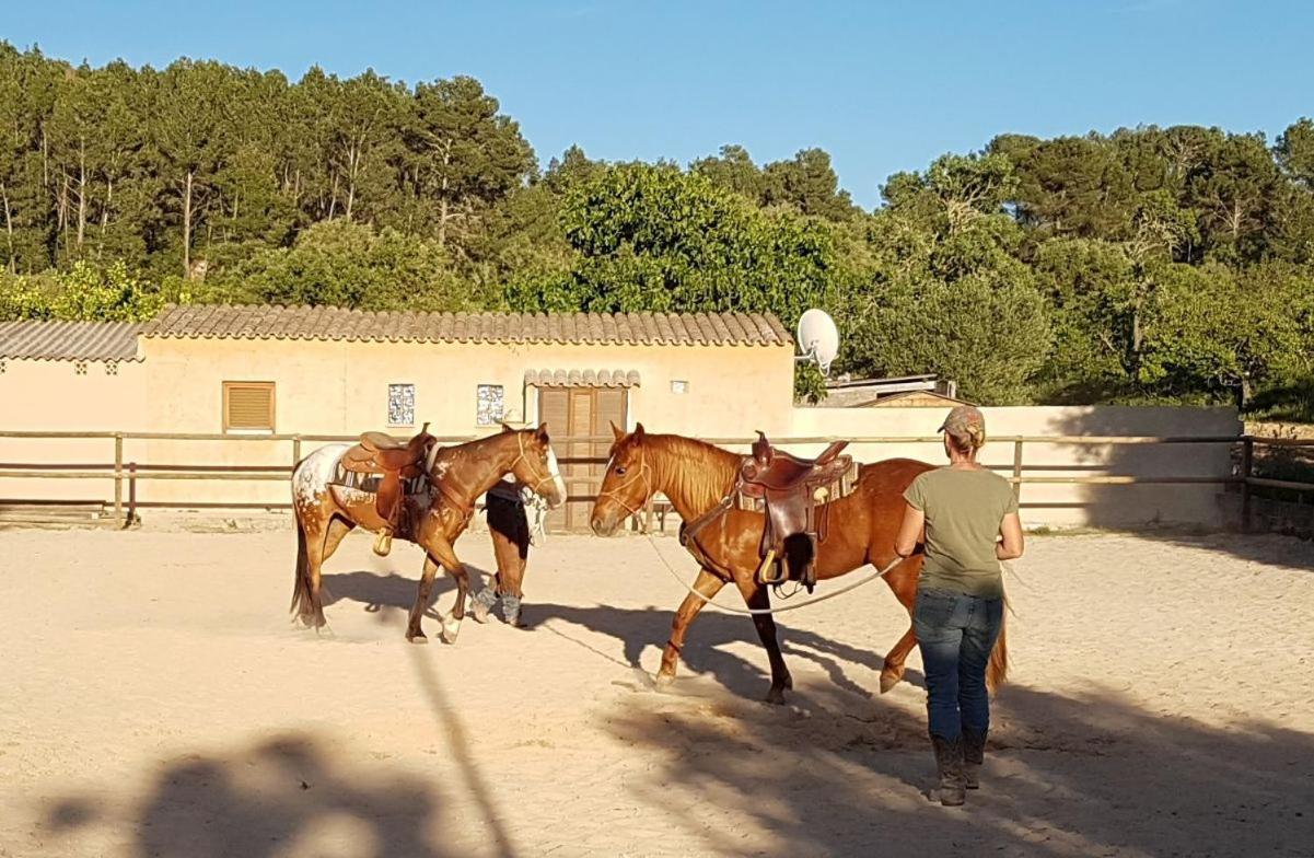 Finca Caballo Blanco Otel Montuiri  Dış mekan fotoğraf
